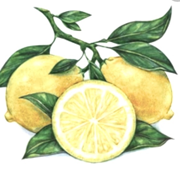 Meet your Posher, Sara - Picture 1 of 1